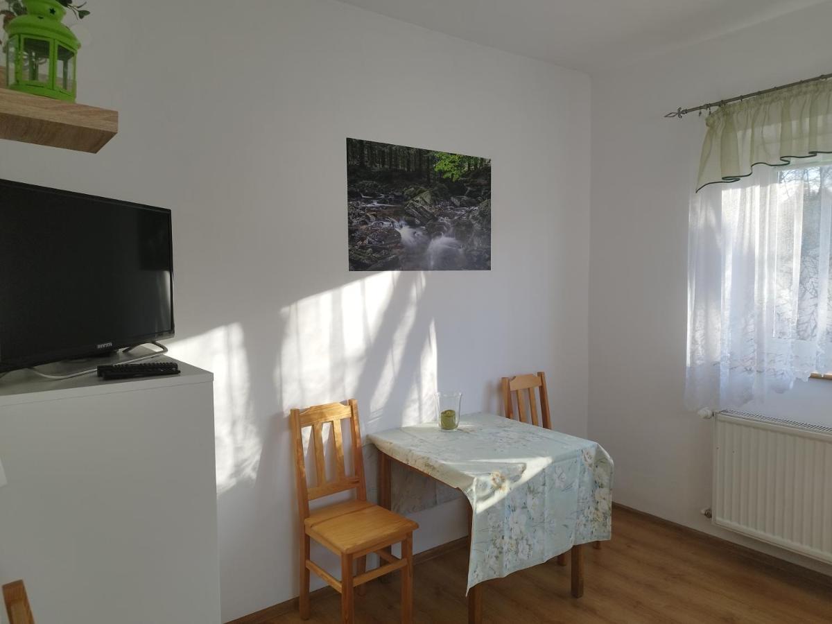 Jaskółka Apartamento Lądek-Zdrój Exterior foto